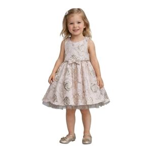 American Princess Blush and Gold Rose Dress Size 3T